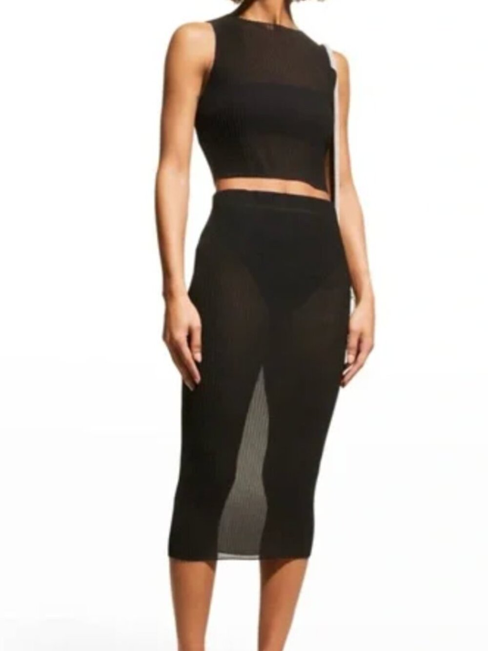 Anemos Sheer Pleated Midi Skirt Cover Up